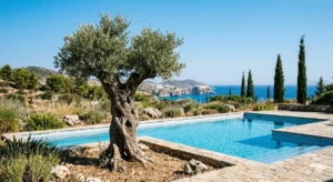 Arbres autour de la Piscine : Lesquels Choisir (et Lesquels Éviter à Tout Prix) Olivier en isolé au bord d'une piscine méditerranéenne