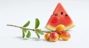 Fruit en x : la liste complète des fruits qui commencent par X Composition de fruits en X