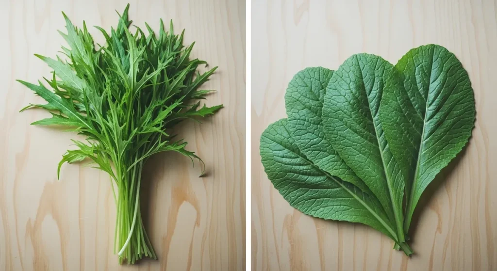Légume en M : la liste des légumes qui commencent par M 2 Mizuna et moutarde verte