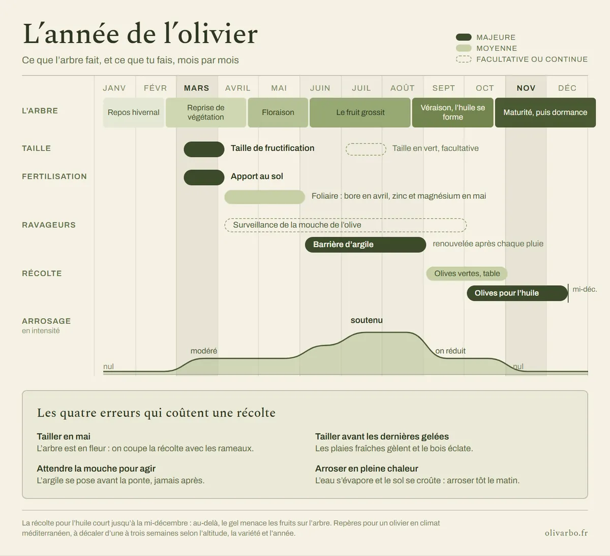 Entretien de l'olivier mois par mois : le calendrier de l'année 1 Calendrier d'entretien de l'olivier, mois par mois